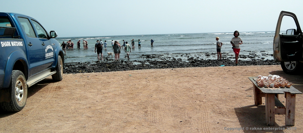 Kapverdische Insel Sal Mitte Ost Shark Bay