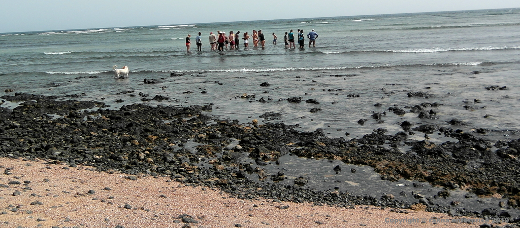Kapverdische Insel Sal Mitte Ost Shark Bay
