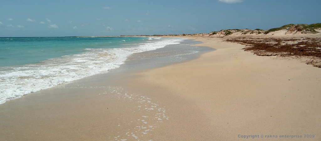 Kapverdische Insel Sal Süden  KiteBeach - Costa da Fragata -TurtleBeach  2010
