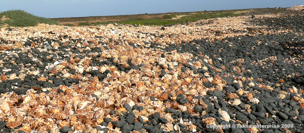 Kapverden Insel Sal Praia de Cemiterio